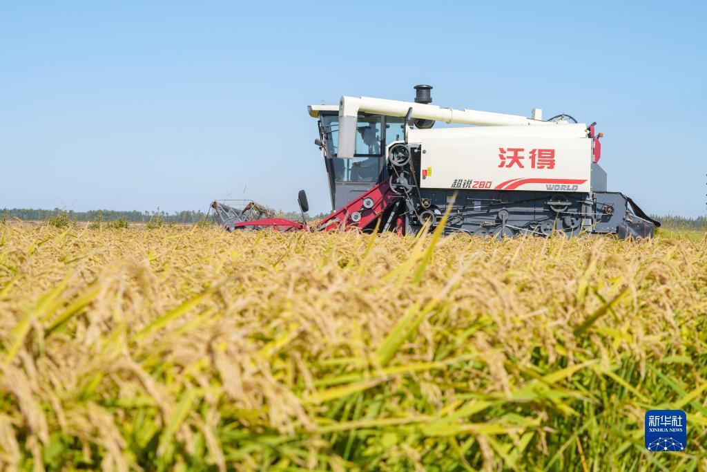 云顶集团注册送28线路